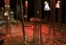 The Armoured Forest (Install) - Chain, Deer Antlers and Skulls, Barramundi Scales, Copper, Oyster Shells, Fish and Eel Leather, Dried Leaves, Trees, Sound Piece.
